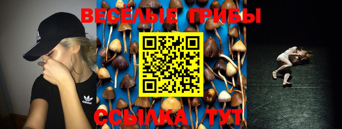Галлюциногенные грибы GOLDEN TEACHER Биробиджан